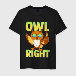Owl right - каламбур отлично – Мужская футболка хлопок с принтом купить со скидкой в -20%
