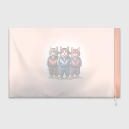 Флаг 3D Три полосатых кота в спортивных костюмах пацана - фото 2