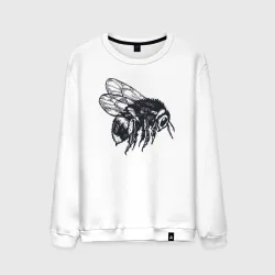 Мужской свитшот хлопок Bee