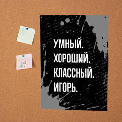 Постер Умный хороший классный: Игорь - фото 2