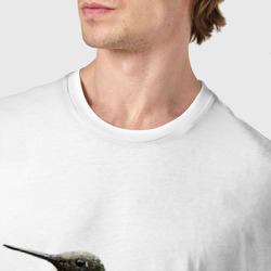 Футболка с принтом Рубиновогорлый колибри для мужчины, вид на модели спереди №4. Цвет основы: белый
