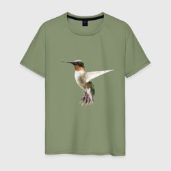 Рубиновогорлый колибри – Мужская футболка хлопок с принтом купить со скидкой в -20%