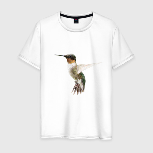 Мужская футболка из хлопка с принтом Рубиновогорлый колибри, вид спереди №1