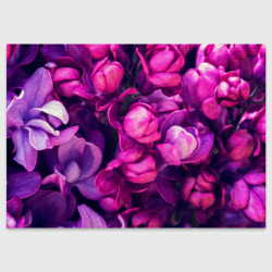 Фиолетовая сирень кистью – Поздравительная открытка с принтом купить