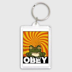 Брелок прямоугольный 35*50 Гипножаба по мотивам Футурама на  оранжевом фоне