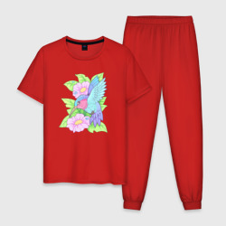 Мужская пижама хлопок Маленькая птичка колибри