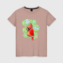  Красный кардинал на ветке – Женская футболка хлопок с принтом купить со скидкой в -20%