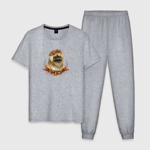 Мужская пижама хлопок с принтом Пекинес осенний арт, вид спереди #2