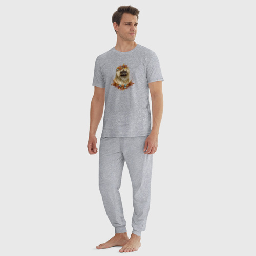 Мужская пижама хлопок с принтом Пекинес осенний арт, вид сбоку #3
