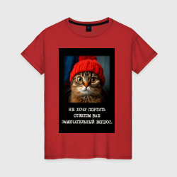 Мем котик в шапочке: не хочу портить ответом ваш вопрос – Женская футболка хлопок с принтом купить со скидкой в -20%