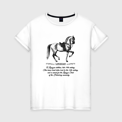 Женская футболка из хлопка с принтом Липицанская лошадь - гравюра, вид спереди №1