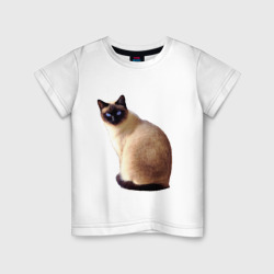 Детская футболка хлопок Настоящая сиамская кошка