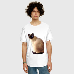 Мужская футболка хлопок Oversize Настоящая сиамская кошка - фото 2