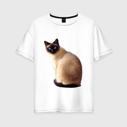 Женская футболка хлопок Oversize Настоящая сиамская кошка