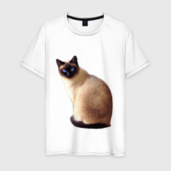 Мужская футболка хлопок Настоящая сиамская кошка