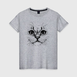 Кот красивый морда крупно – Женская футболка хлопок с принтом купить со скидкой в -20%