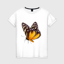 Женская футболка хлопок Настоящая бабочка оранжево-коричневая