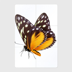 Магнитный плакат 2Х3 Настоящая бабочка оранжево-коричневая