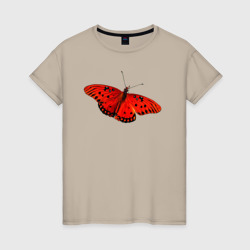 Красная бабочка с черными точками – Футболка из хлопка с принтом купить со скидкой в -20%