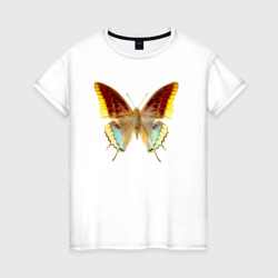 Женская футболка хлопок Трехцветная бабочка