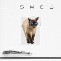 Плакат с принтом Сиамская кошка для любого человека, вид спереди №2. Цвет основы: белый