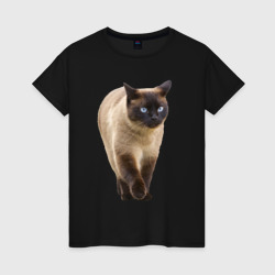 Женская футболка хлопок Сиамская кошка