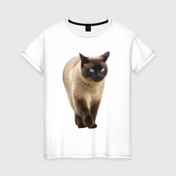 Женская футболка хлопок Сиамская кошка