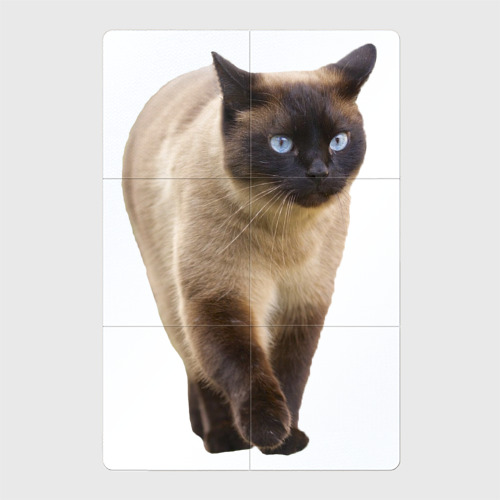 Магнитный плакат 2x3 с принтом Сиамская кошка, вид спереди №1