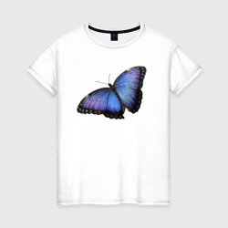 Женская футболка хлопок Бабочка сине-фиолетовая перламутровая