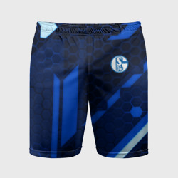 Мужские шорты спортивные Schalke 04 sport geometry