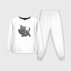 Серый британский котик – Детская пижама с лонгсливом хлопок с принтом купить