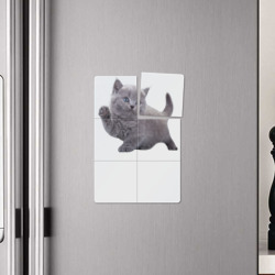 Плакат с принтом Серый британский котик для любого человека, вид спереди №4. Цвет основы: белый