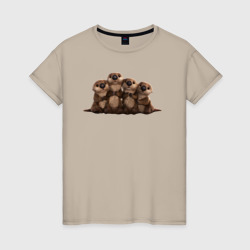 Женская футболка хлопок Мультяшные бобры