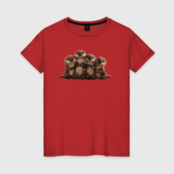 Мультяшные бобры – Женская футболка хлопок с принтом купить со скидкой в -20%