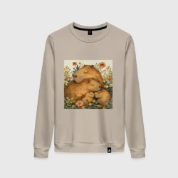 Женский свитшот хлопок Семья капибар