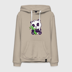 Мужская толстовка хлопок Bamboo panda