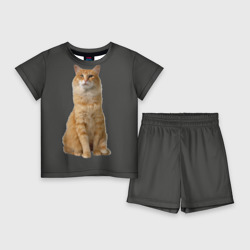 Рыжий кот на сером – Детский костюм с шортами 3D с принтом купить