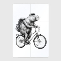 Магнитный плакат 2Х3 Капибара на велосипеде в черном цвете
