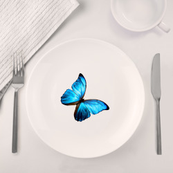 Набор: тарелка кружка с принтом Голубая тропическая бабочка для любого человека, вид спереди №4. Цвет основы: белый