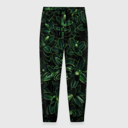Мужские брюки 3D Зеленые листики растения