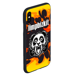 Чехол для iPhone XS Max матовый Limp Bizkit рок панда и огонь - фото 2