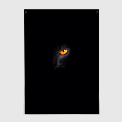 Постер Глаз черной пантеры на черном фоне