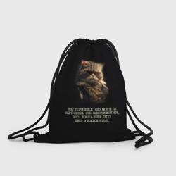 Рюкзак-мешок 3D Рыжий кот: ты просишь об одолжении но делаешь без уважения
