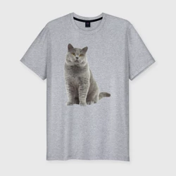 Мужская футболка хлопок Slim Серый британец