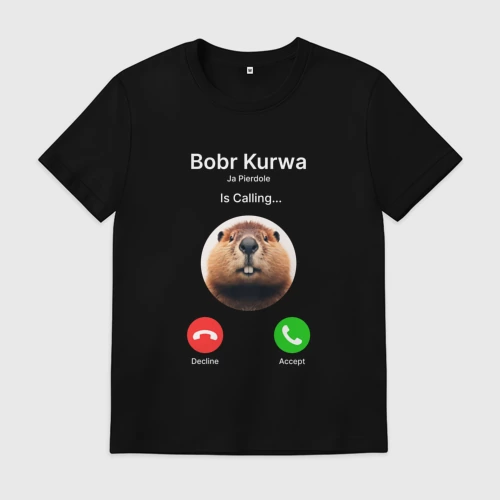Мужская футболка хлопок Bobr kurwa is calling