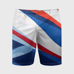 Плавные  абстрактные линии в стиле минимализм – Мужские шорты спортивные с принтом купить
