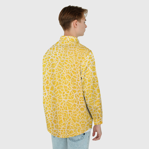 Мужская рубашка oversize 3D с принтом Дыня текстура, вид сзади #2