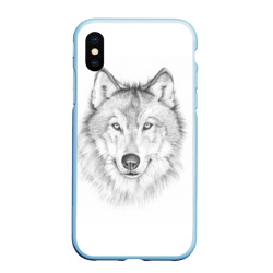 Чехол для iPhone XS Max матовый Нарисованный волк зубами щёлк