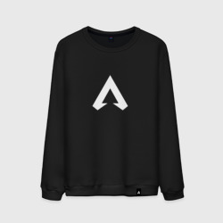 Мужской свитшот хлопок Logo apex