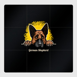 Немецкая овчарка - собака – Магнитный плакат 3Х3 с принтом купить